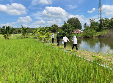 ลงพื้นที่ติดตามการใช้เงินกู้กองทุนสงเคราะห์เกษตรกร พารามิเตอร์รูปภาพ 5